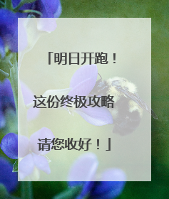 明日开跑！这份终极攻略请您收好！