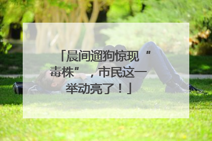 晨间遛狗惊现“毒株”，市民这一举动亮了！