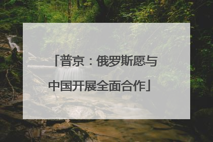 普京：俄罗斯愿与中国开展全面合作