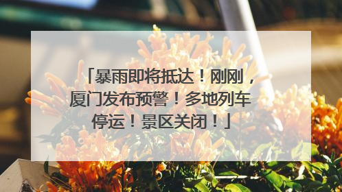 暴雨即将抵达！刚刚，厦门发布预警！多地列车停运！景区关闭！