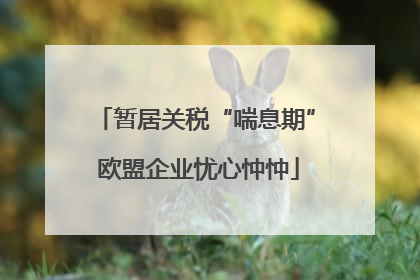 暂居关税“喘息期” 欧盟企业忧心忡忡