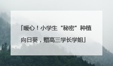 暖心！小学生“秘密”种植向日葵，赠高三学长学姐