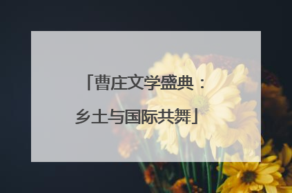 曹庄文学盛典：乡土与国际共舞