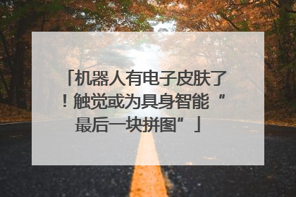 机器人有电子皮肤了！触觉或为具身智能“最后一块拼图”