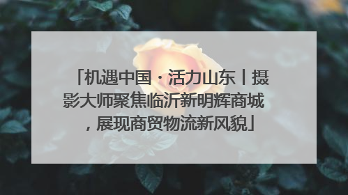 机遇中国・活力山东丨摄影大师聚焦临沂新明辉商城，展现商贸物流新风貌