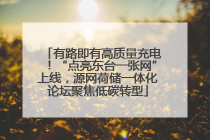 有路即有高质量充电！“点亮东台一张网”上线，源网荷储一体化论坛聚焦低碳转型