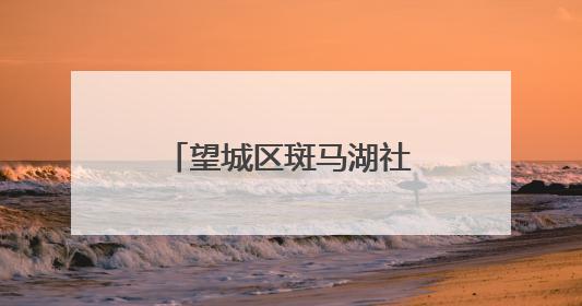 望城区斑马湖社区开展“学规定、强作风、践初心”主题党日活动