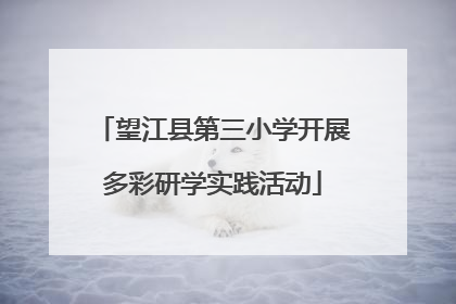 望江县第三小学开展多彩研学实践活动