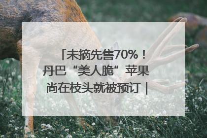未摘先售70%！丹巴“美人脆”苹果尚在枝头就被预订｜长征路上看四川