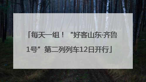 每天一组！“好客山东·齐鲁1号”第二列列车12日开行