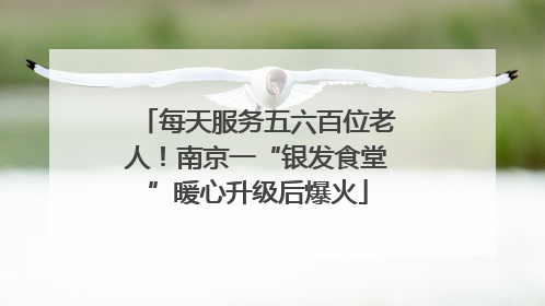 每天服务五六百位老人！南京一“银发食堂”暖心升级后爆火