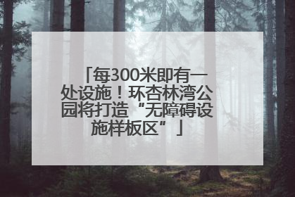 每300米即有一处设施！环杏林湾公园将打造“无障碍设施样板区”