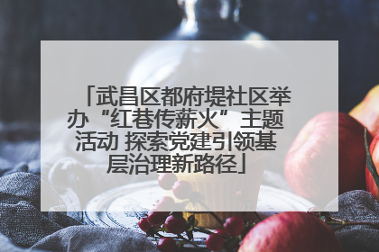 武昌区都府堤社区举办“红巷传薪火”主题活动 探索党建引领基层治理新路径