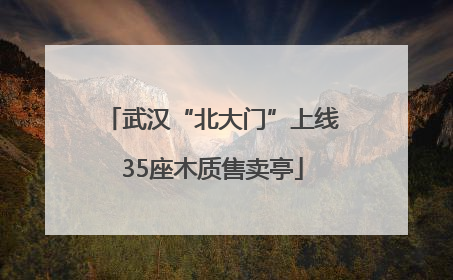 武汉“北大门”上线35座木质售卖亭