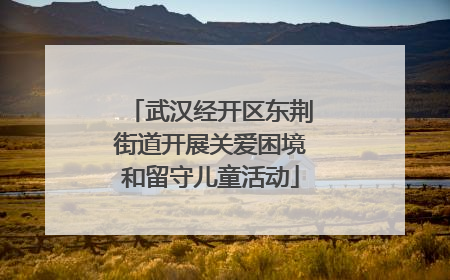 武汉经开区东荆街道开展关爱困境和留守儿童活动