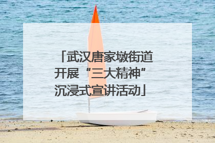 武汉唐家墩街道开展“三大精神”沉浸式宣讲活动