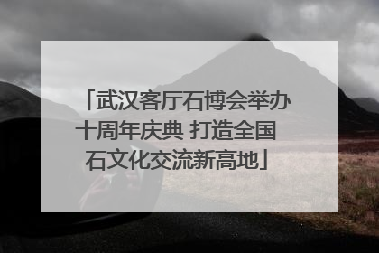 武汉客厅石博会举办十周年庆典 打造全国石文化交流新高地