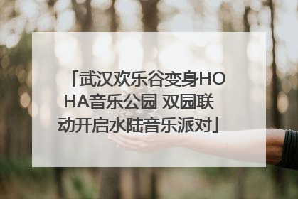 武汉欢乐谷变身HOHA音乐公园 双园联动开启水陆音乐派对