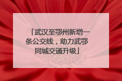 武汉至鄂州新增一条公交线，助力武鄂同城交通升级