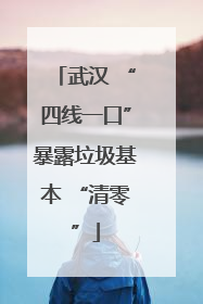 武汉 “四线一口”暴露垃圾基本 “清零”
