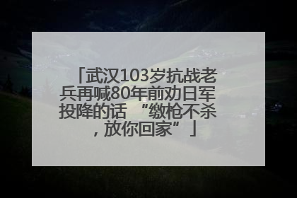 武汉103岁抗战老兵再喊80年前劝日军投降的话 “缴枪不杀，放你回家”