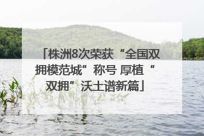 株洲8次荣获“全国双拥模范城”称号 厚植“双拥”沃土谱新篇