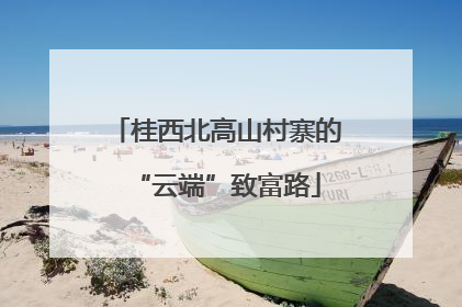 桂西北高山村寨的“云端”致富路