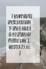 桥畔葡萄酒集团因旗下酒庄项目未经消防审查擅自施工被罚3万元