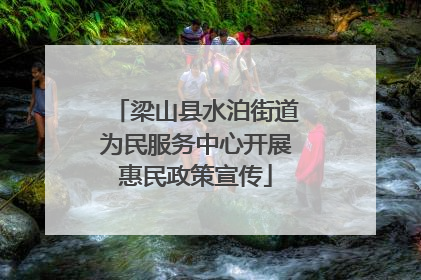梁山县水泊街道为民服务中心开展惠民政策宣传