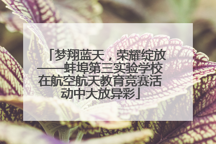 梦翔蓝天，荣耀绽放——蚌埠第三实验学校在航空航天教育竞赛活动中大放异彩