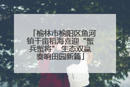 榆林市榆阳区鱼河镇千亩稻海喜迎“蟹兵蟹将” 生态双赢奏响田园新篇