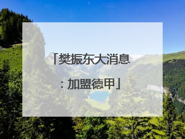 樊振东大消息：加盟德甲