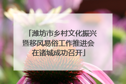 潍坊市乡村文化振兴暨移风易俗工作推进会在诸城成功召开