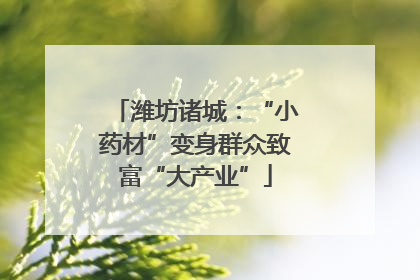 潍坊诸城：“小药材”变身群众致富“大产业”