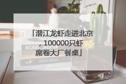 潜江龙虾走进北京，100000只虾席卷大厂餐桌