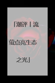 潮评丨流萤点亮生态之光