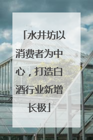 水井坊以消费者为中心，打造白酒行业新增长极