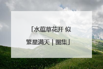 水蕴草花开 似繁星满天｜图集