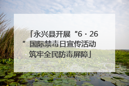永兴县开展“6・26”国际禁毒日宣传活动 筑牢全民防毒屏障