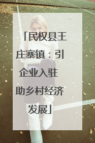 民权县王庄寨镇：引企业入驻 助乡村经济发展