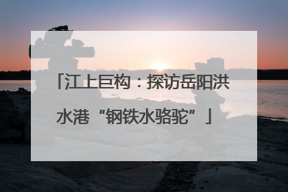 江上巨构：探访岳阳洪水港“钢铁水骆驼”
