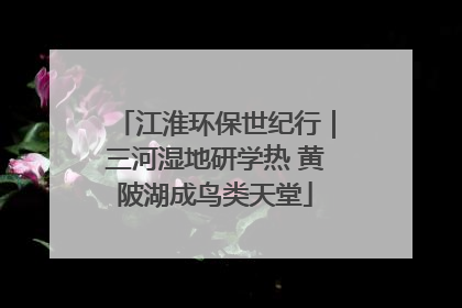 江淮环保世纪行｜三河湿地研学热 黄陂湖成鸟类天堂