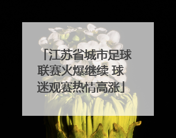 江苏省城市足球联赛火爆继续 球迷观赛热情高涨