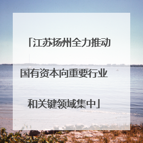 江苏扬州全力推动国有资本向重要行业和关键领域集中