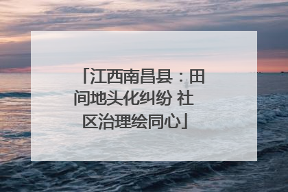 江西南昌县：田间地头化纠纷 社区治理绘同心