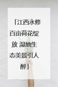 江西永修百亩荷花绽放 湿地生态美景引人醉