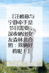 汪峰称与宁静牵手是节目需要，深夜晒出女友森林北合照：我俩好着呢！