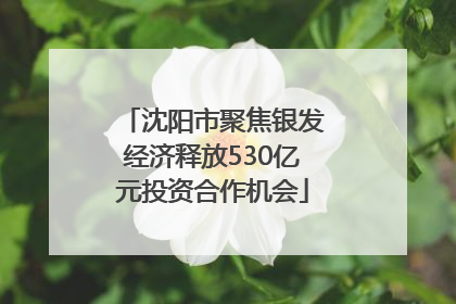 沈阳市聚焦银发经济释放530亿元投资合作机会