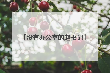 没有办公室的赵书记