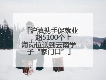 沪滇携手促就业，超5100个上海岗位送到云南学子“家门口”